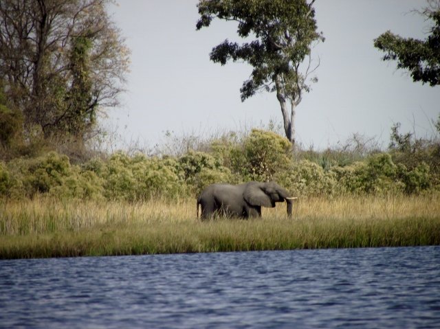 Botswana 061